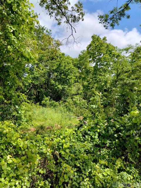 1 C R 43, Rosboro, AR 71943