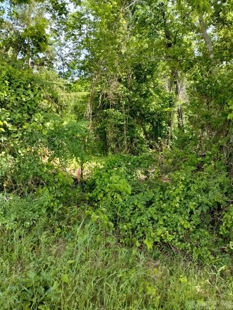 2 C R 43, Rosboro, AR 71943