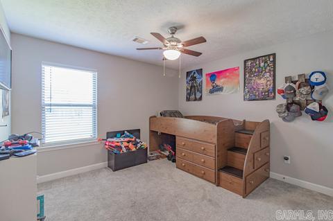 26 Golden Leaf Dr, Greenbrier, AR 72058 photo 19