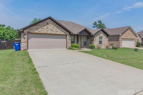 26 Golden Leaf Dr, Greenbrier, AR 72058 photo 25