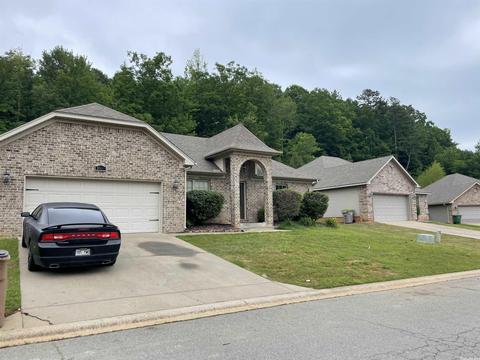3969 Eastern Slope Dr, Alexander, AR 72002 photo 3