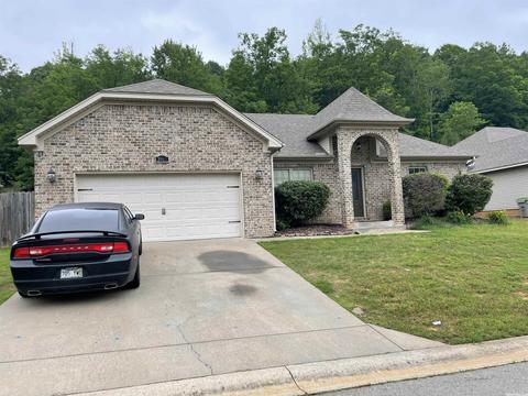 3969 Eastern Slope Dr, Alexander, AR 72002 photo 4