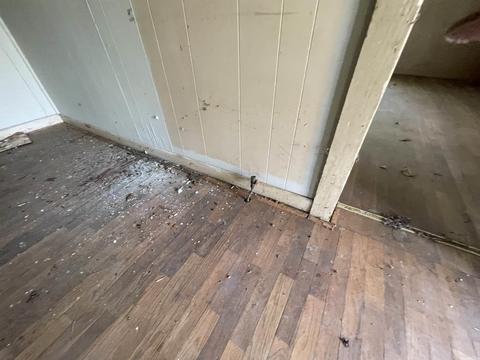 18 Tuff St, Ash Flat, AR 72513 photo 29