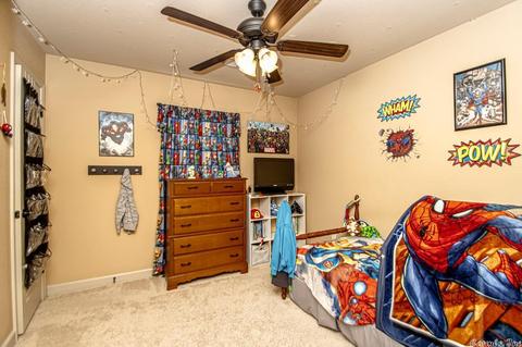 16 Sierra Dr, Austin, AR 72007 photo 11