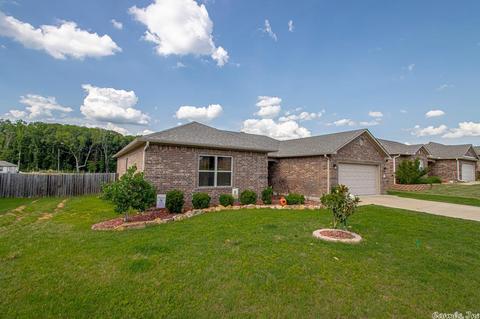 16 Sierra Dr, Austin, AR 72007 photo 4