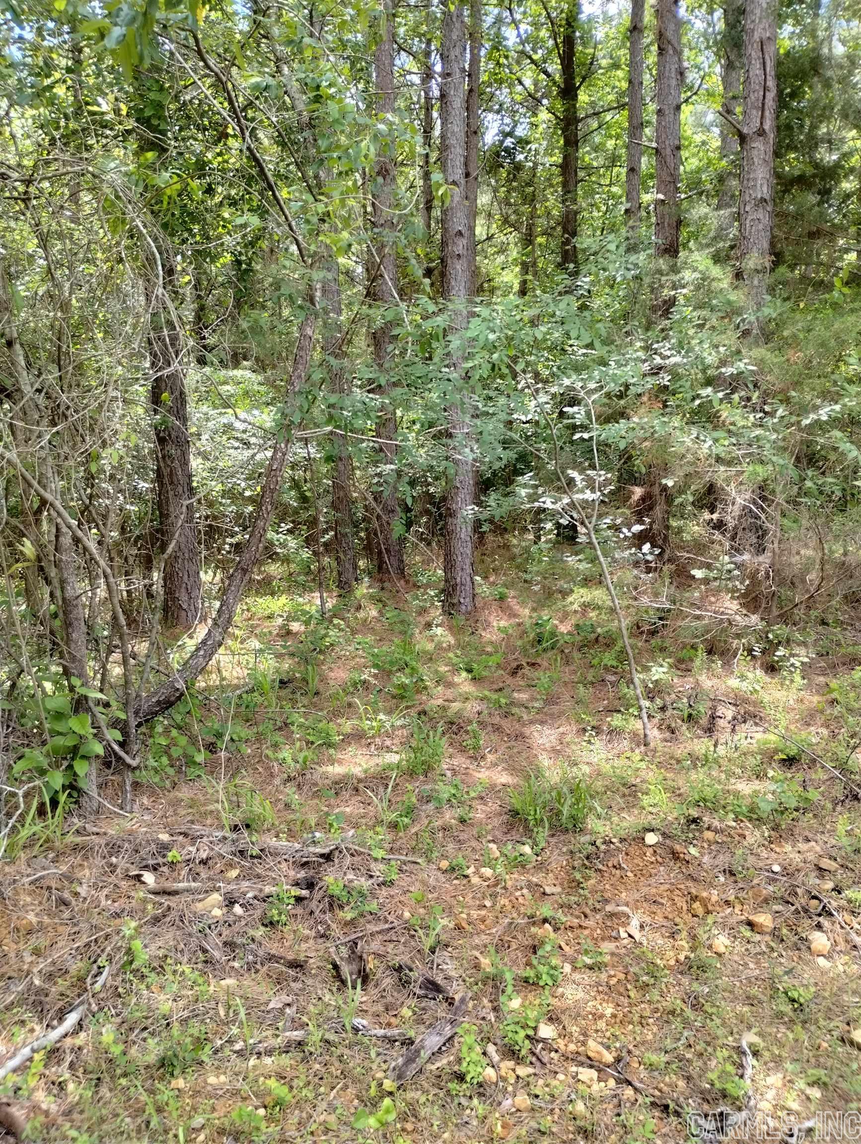 Xx Lot Unit 5-castle  