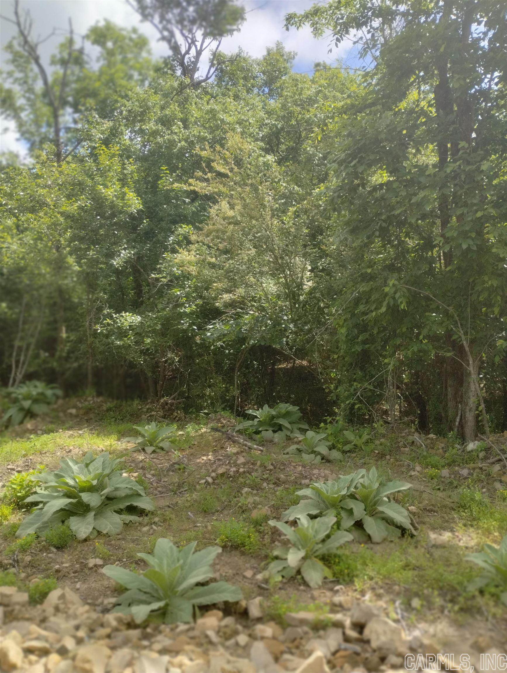 Xx Lot Unit 6 Castle  