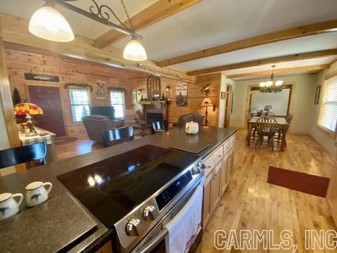 115 S Riverview Ln, Mountain View, AR 72560 photo 12
