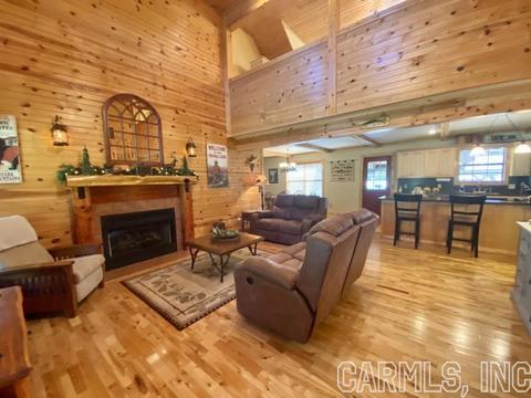 115 S Riverview Ln, Mountain View, AR 72560 photo 10