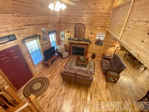 115 S Riverview Ln, Mountain View, AR 72560 photo 11