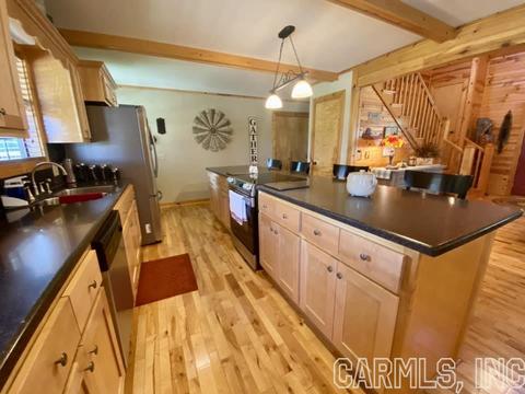 115 S Riverview Ln, Mountain View, AR 72560 photo 20