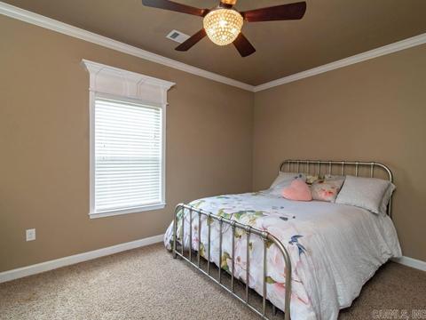 6204 Doreen Dr, Bryant, AR 72022 photo 35