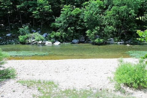 569 Double Bridge Loop, Mountain View, AR 72560 photo 33