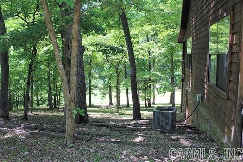 569 Double Bridge Loop, Mountain View, AR 72560 photo 8