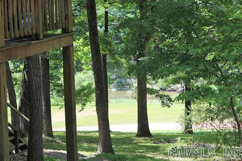569 Double Bridge Loop, Mountain View, AR 72560 photo 5