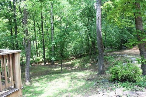 569 Double Bridge Loop, Mountain View, AR 72560 photo 29