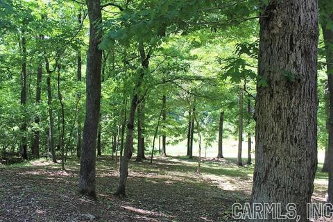 569 Double Bridge Loop, Mountain View, AR 72560 photo 11