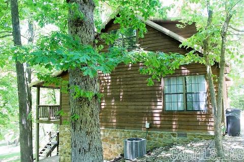 569 Double Bridge Loop, Mountain View, AR 72560 photo 9