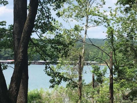 L58 Davidson, Edgemont, AR 72044 photo 5