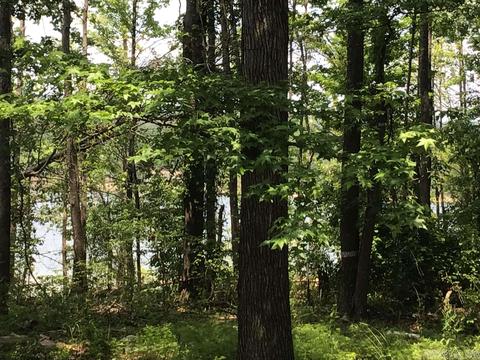 L58 Davidson, Edgemont, AR 72044 photo 6