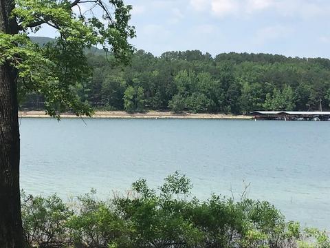 L58 Davidson, Edgemont, AR 72044 photo 3