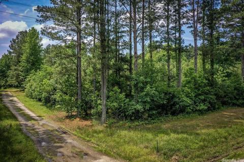 225 E Greentree Rd, Ward, AR 72176 photo 42