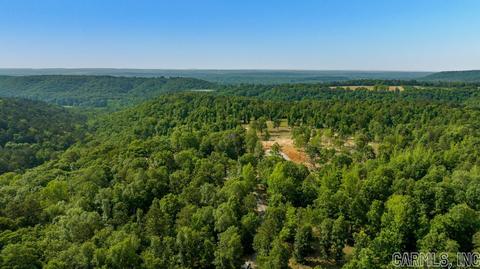 338 Atoka Dr, Bee Branch, AR 72013 photo 29