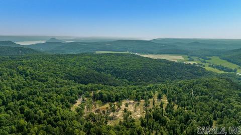 338 Atoka Dr, Bee Branch, AR 72013 photo 42