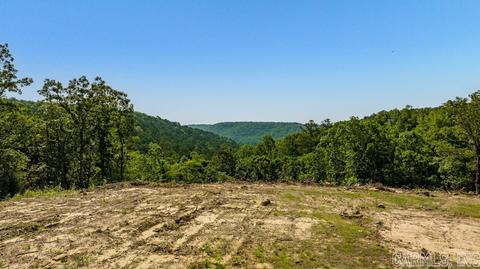 338 Atoka Dr, Bee Branch, AR 72013 photo 48