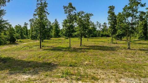 338 Atoka Dr, Bee Branch, AR 72013 photo 45