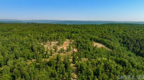 338 Atoka Dr, Bee Branch, AR 72013 photo 30