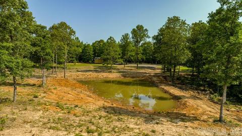 338 Atoka Dr, Bee Branch, AR 72013 photo 43