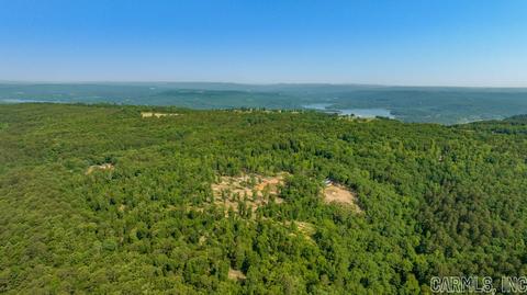 338 Atoka Dr, Bee Branch, AR 72013 photo 31