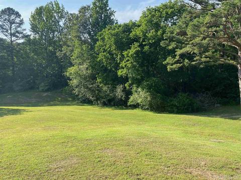 136 Peach St, Mount Ida, AR 71957 photo 49
