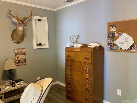 136 Peach St, Mount Ida, AR 71957 photo 30