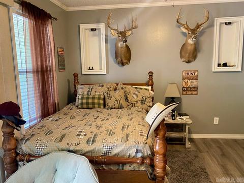 136 Peach St, Mount Ida, AR 71957 photo 29