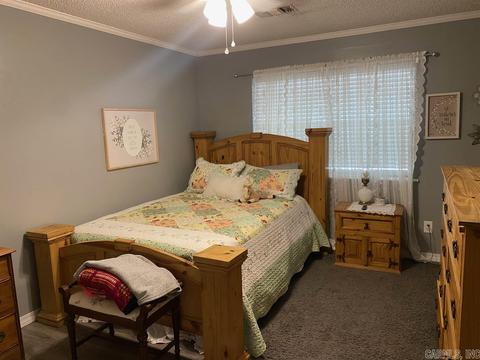 136 Peach St, Mount Ida, AR 71957 photo 22