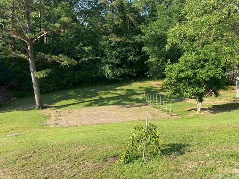 136 Peach St, Mount Ida, AR 71957 photo 48