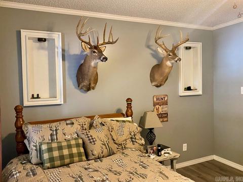 136 Peach St, Mount Ida, AR 71957 photo 31