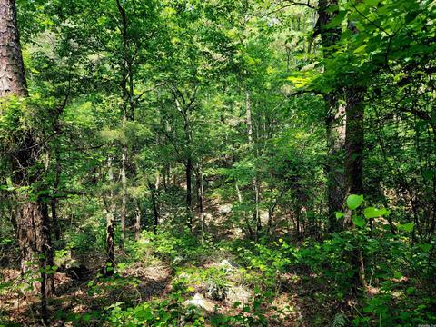 lot17 Fern Trl, Fairfield Bay, AR 72088