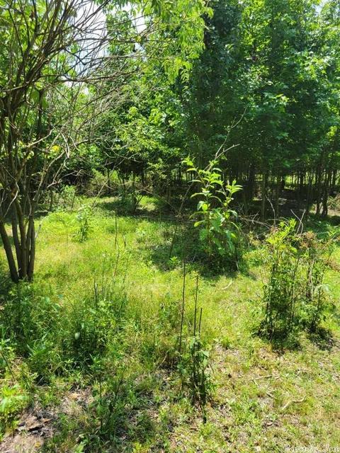 6984 Mt Tabor Rd, Lonoke, AR 72023 photo 3