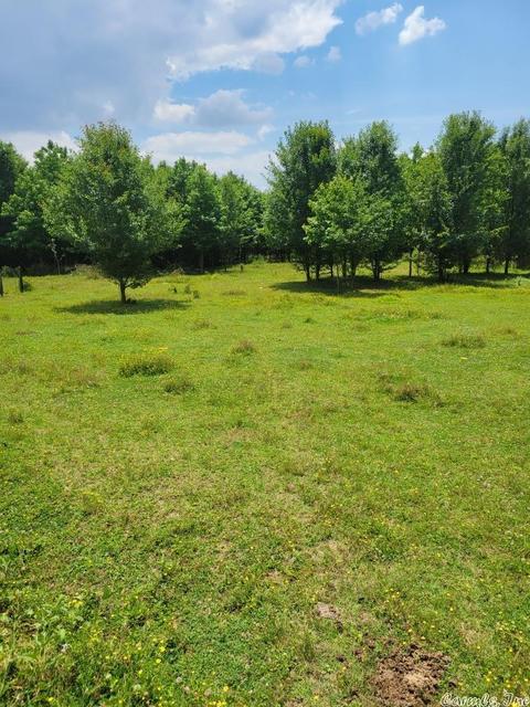 6984 Mt Tabor Rd, Lonoke, AR 72023 photo 2