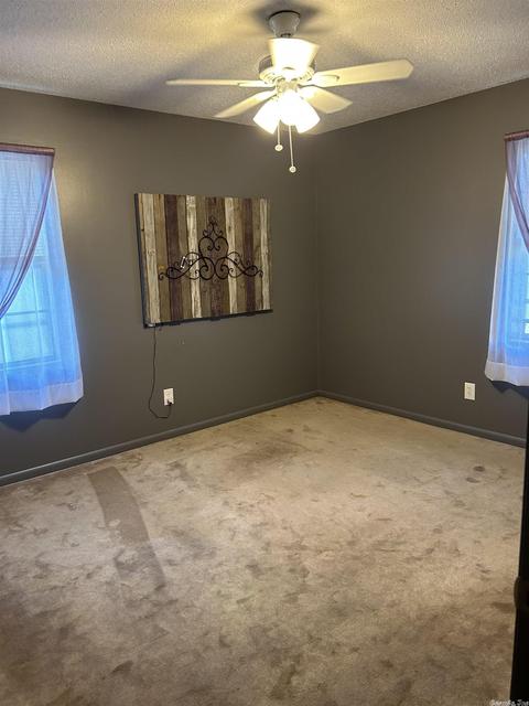 111 W Johnson Dr, Flippin, AR 72634 photo 7