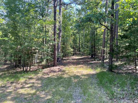 58 Pine Valley Dr, Conway, AR 72034 photo 28
