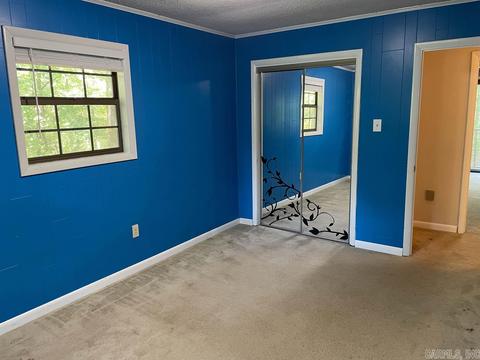 58 Pine Valley Dr, Conway, AR 72034 photo 24