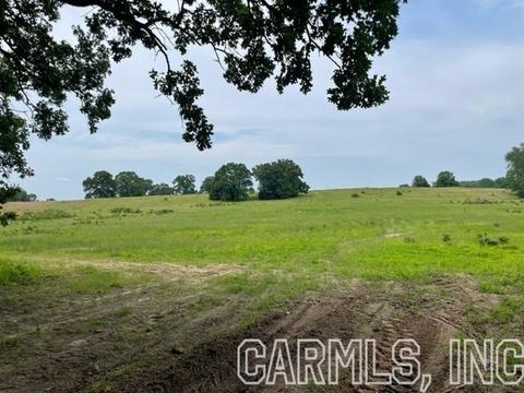 877 Fox Den Rd, El Paso, AR 72045 photo 3