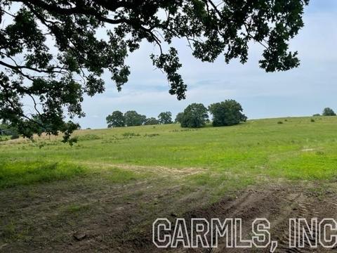 877 Fox Den Rd, El Paso, AR 72045 photo 2