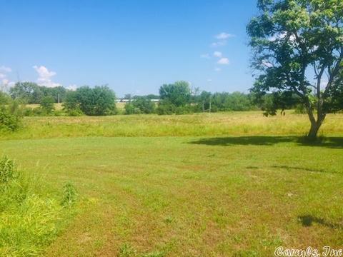179 Highway 88 E, Pencil Bluff, AR 71965 photo 4