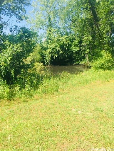 179 Highway 88 E, Pencil Bluff, AR 71965 photo 6