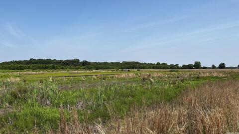 7007 70 Hwy, Brinkley, AR 72021 photo 34